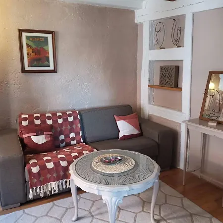 Maison Cliquot - Centre Apartment Colmar