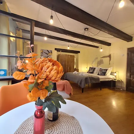 Apartamento Maison Cliquot - Centre *