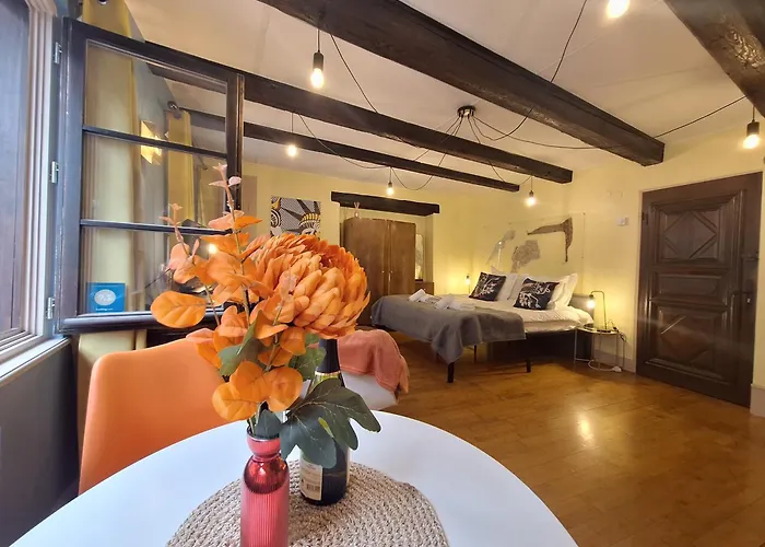 Apartment Maison Cliquot - Centre *